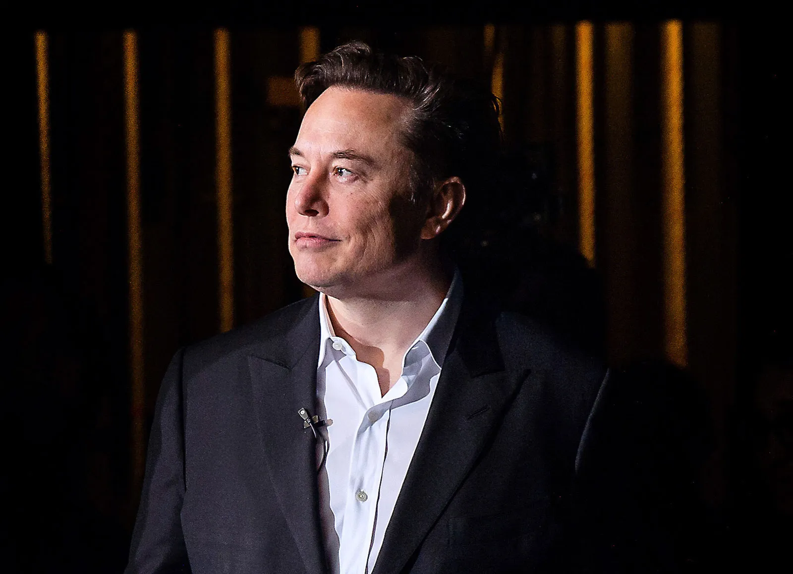 Elon Musk Opinion on EraVirtuosa Tech